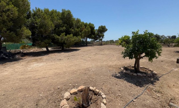Sale - Finca / Country Property -
Torrellano
