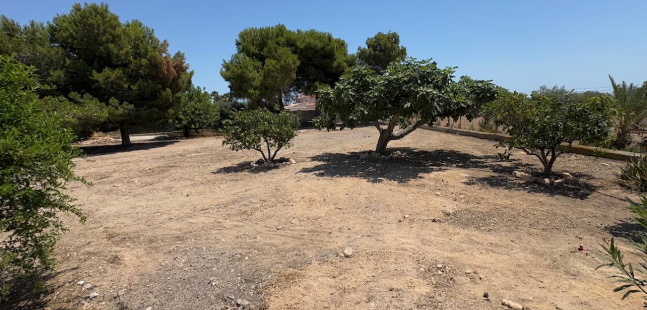 Sale - Finca / Country Property -
Torrellano