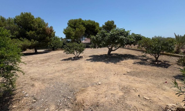 Sale - Finca / Country Property -
Torrellano