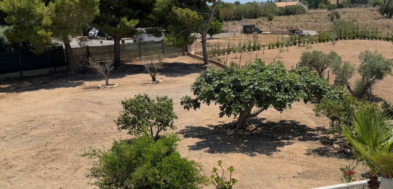 Sale - Finca / Country Property -
Torrellano