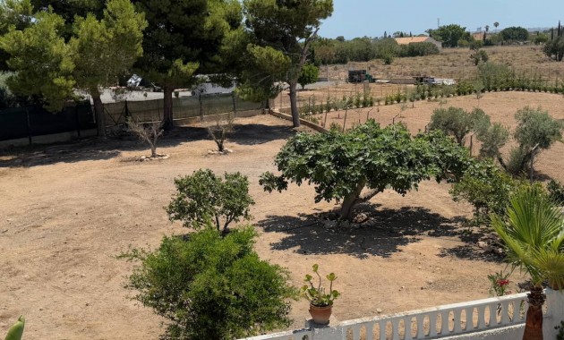 Sale - Finca / Country Property -
Torrellano
