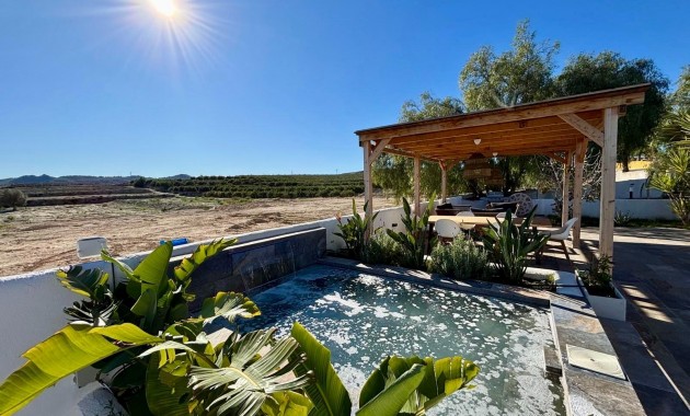 Venta - House -
San Miguel de Salinas - Pueblo 9