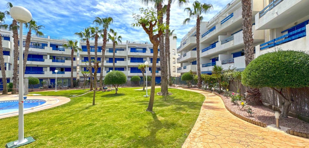 Venta - Apartamento / piso -
Orihuela Costa - Playa Flamenca