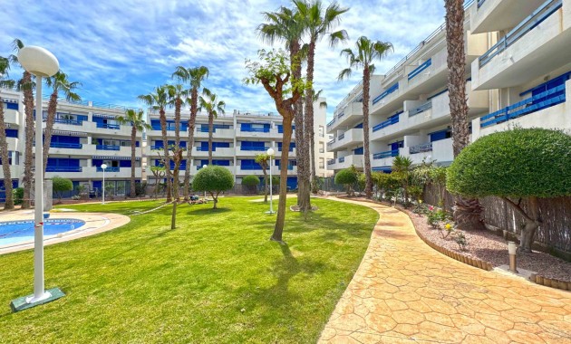 Venta - Apartamento / piso -
Orihuela Costa - Playa Flamenca