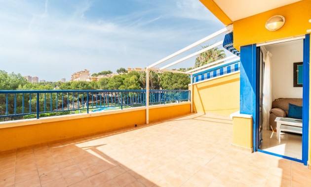 Alquiler a largo plazo - Flat -
Orihuela Costa - Altos de Campoamor