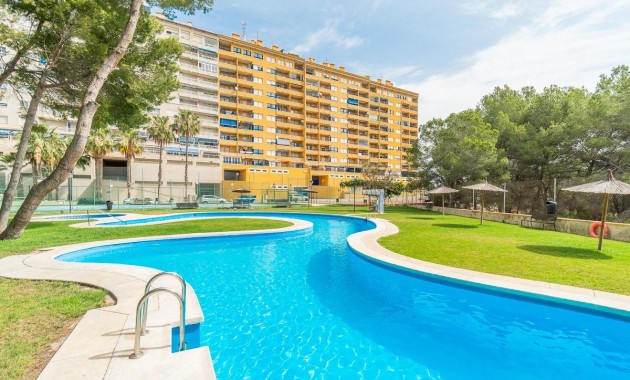Alquiler a largo plazo - Flat -
Orihuela Costa - Altos de Campoamor