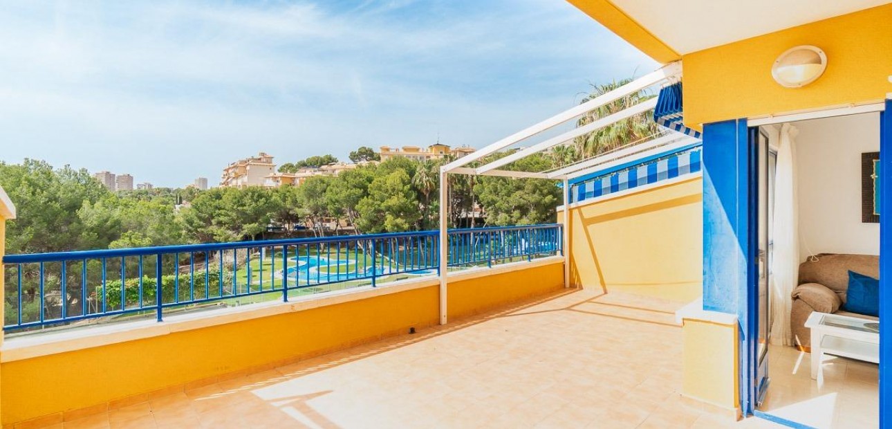 Alquiler a largo plazo - Flat -
Orihuela Costa - Altos de Campoamor
