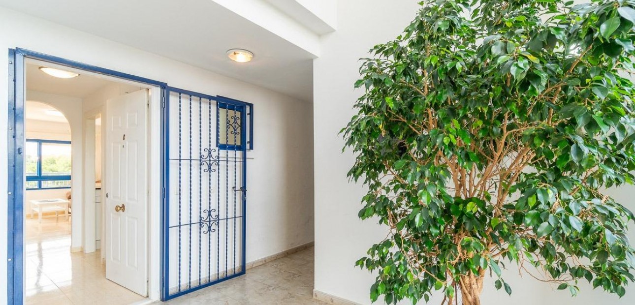 Alquiler a largo plazo - Flat -
Orihuela Costa - Altos de Campoamor