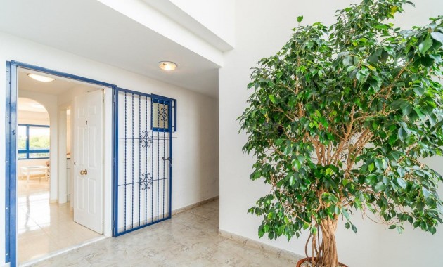 Alquiler a largo plazo - Flat -
Orihuela Costa - Altos de Campoamor