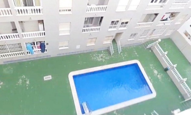 Sale - Apartment / flat -
Torrevieja - Estacion de autobuses