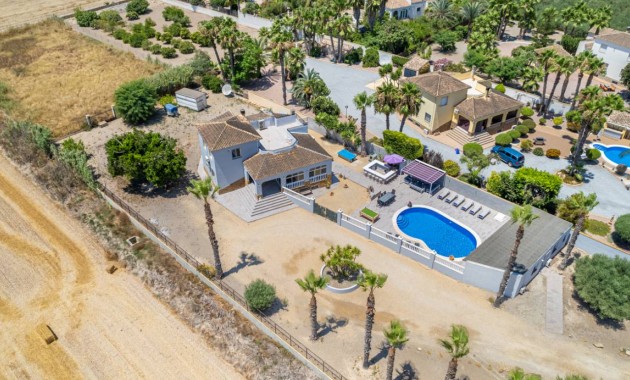 Venta - Finca / Country Property -
Catral
