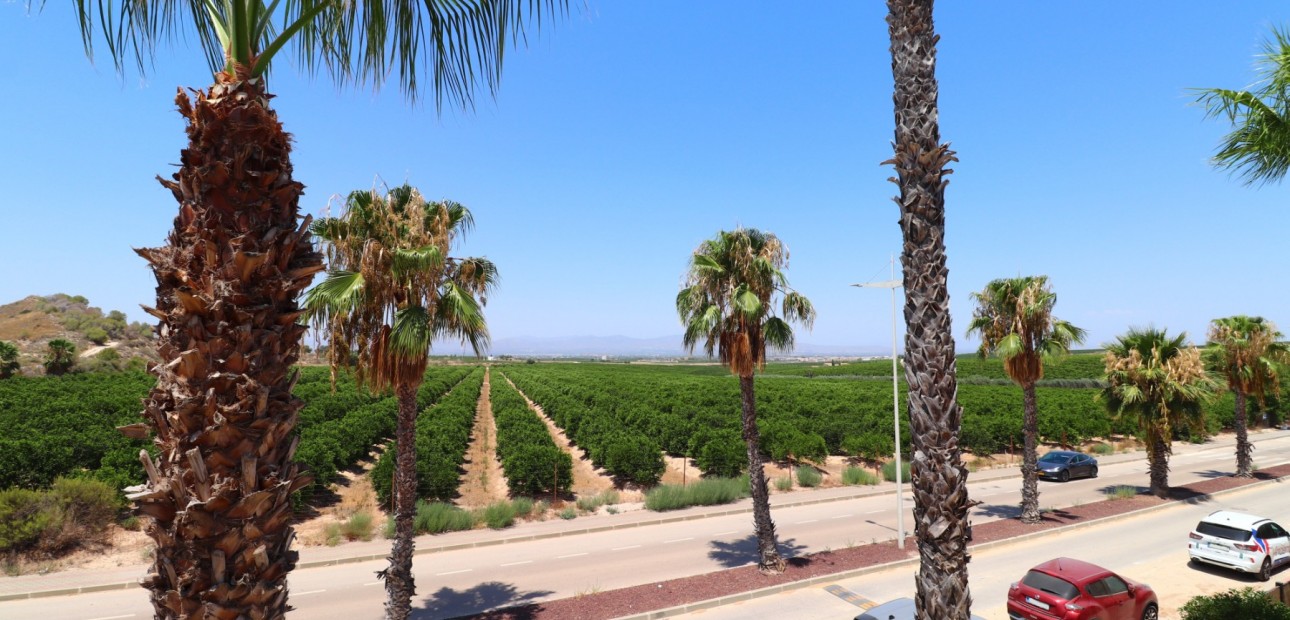 Venta - Semi Detached Villa -
Algorfa - La Finca Golf Resort