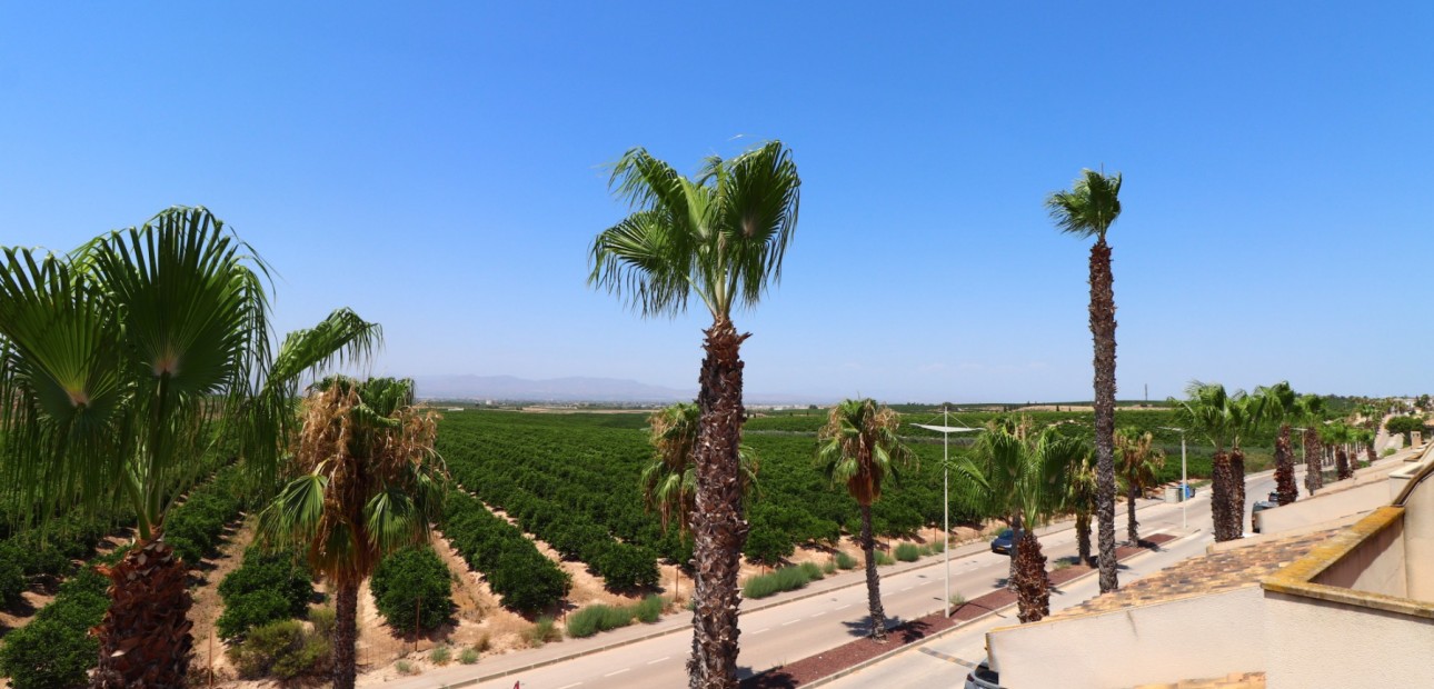 Venta - Semi Detached Villa -
Algorfa - La Finca Golf Resort