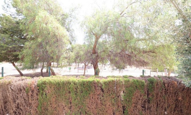 Venta - Bungalow -
Orihuela Costa - Punta Prima
