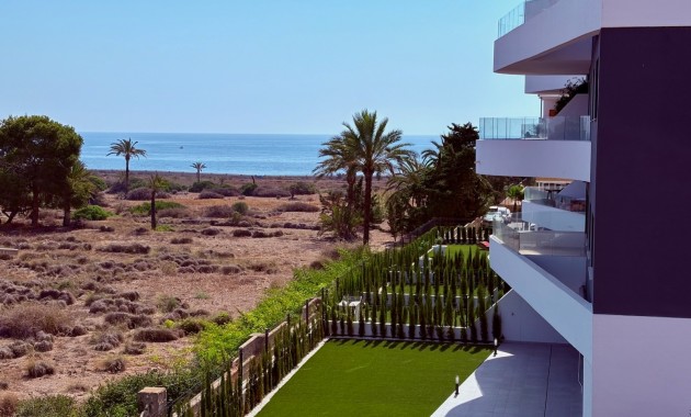 Verhuur - Appartement / flat -
Torrevieja - Punta prima