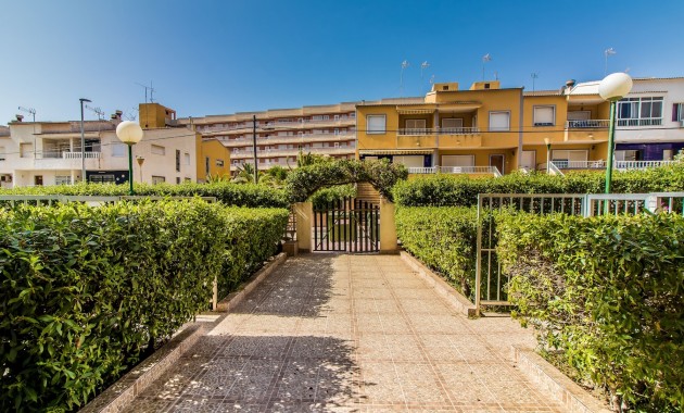 Verhuur - Appartement / flat -
Torrevieja - Punta prima
