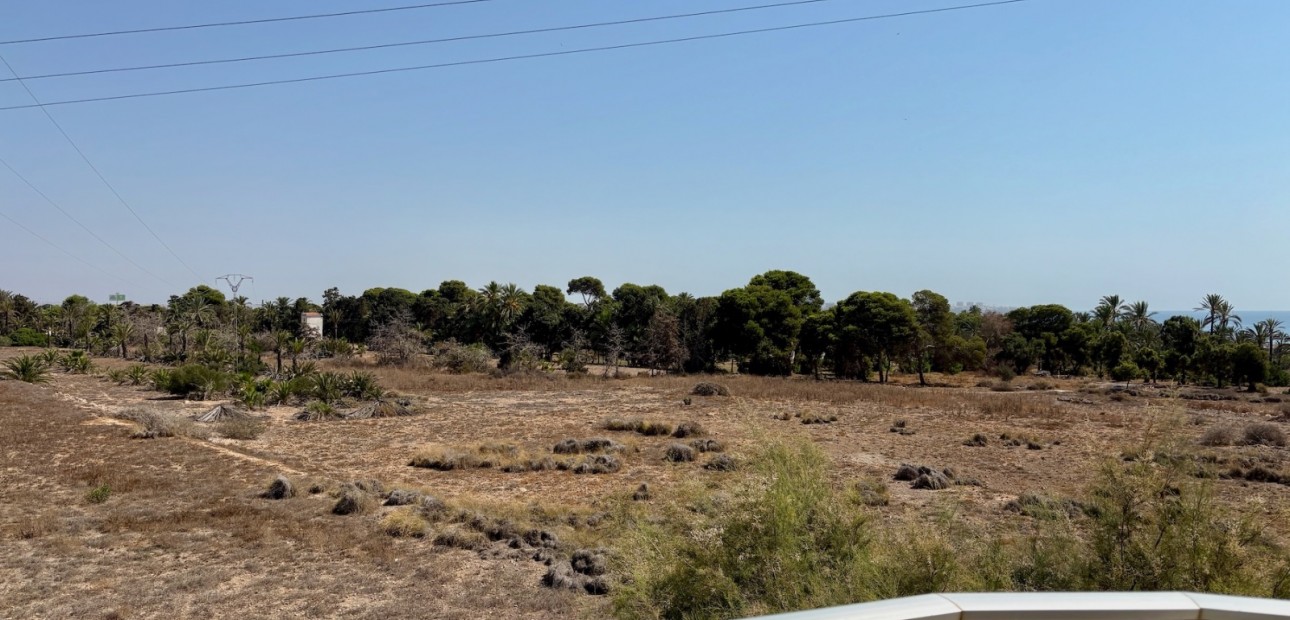 Verhuur - Appartement / flat -
Torrevieja - Punta prima