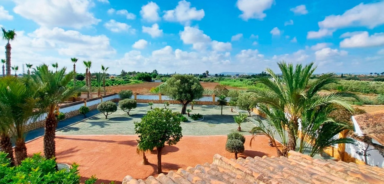 Venta - Country Property -
Catral - Catral - Country