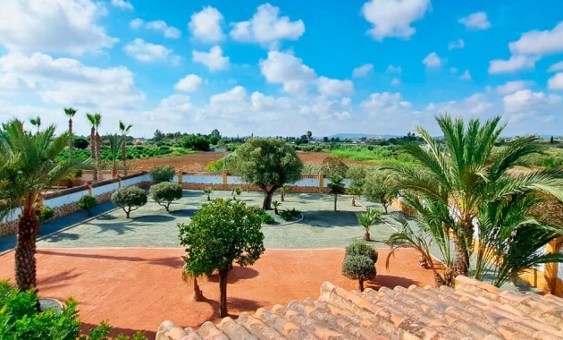 Venta - Country Property -
Catral - Catral - Country