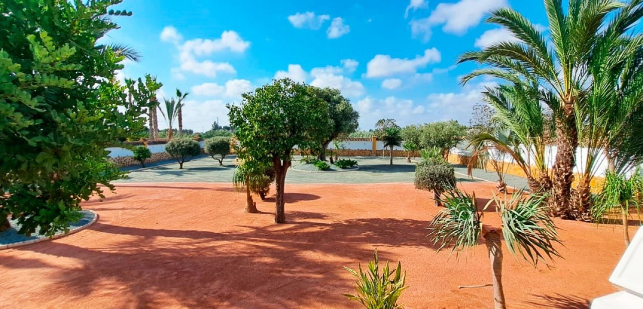 Venta - Country Property -
Catral - Catral - Country