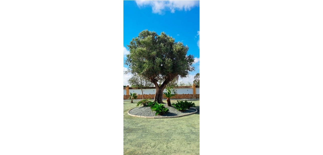 Venta - Country Property -
Catral - Catral - Country