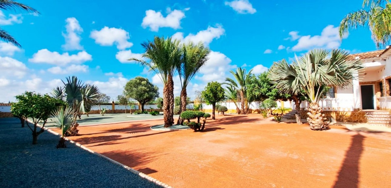Venta - Country Property -
Catral - Catral - Country