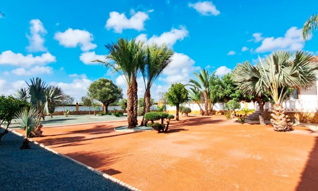 Venta - Country Property -
Catral - Catral - Country