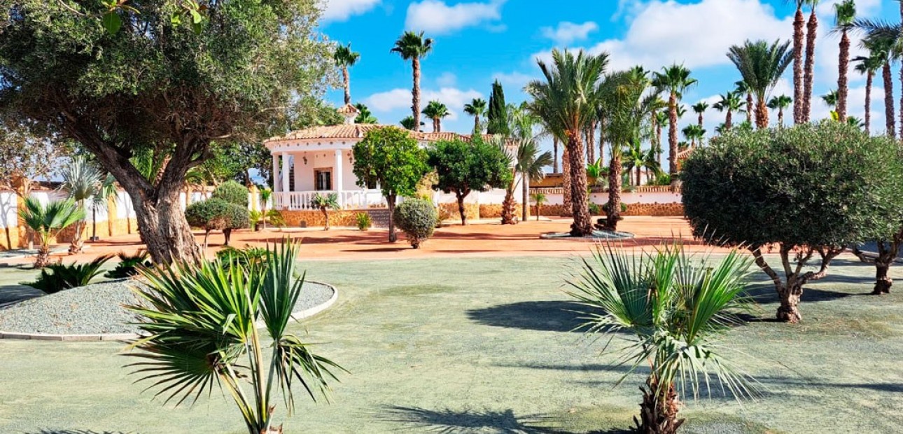 Venta - Country Property -
Catral - Catral - Country