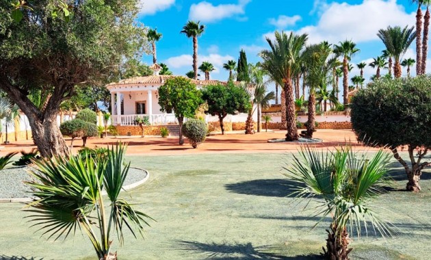 Venta - Country Property -
Catral - Catral - Country