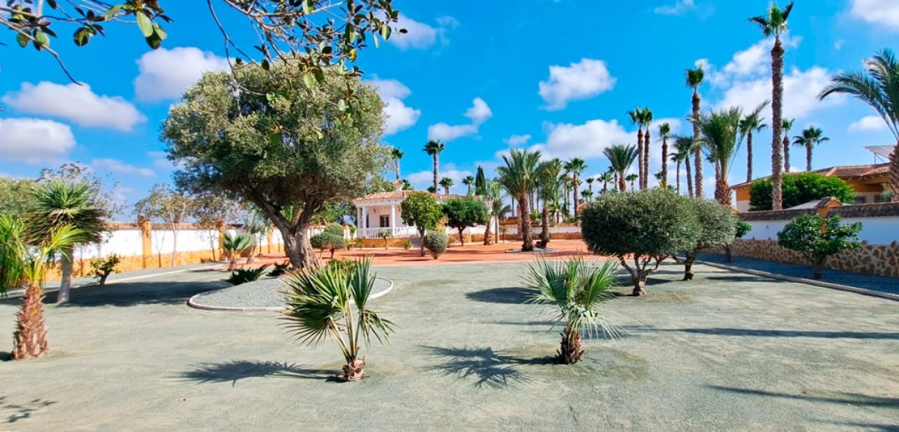 Venta - Country Property -
Catral - Catral - Country
