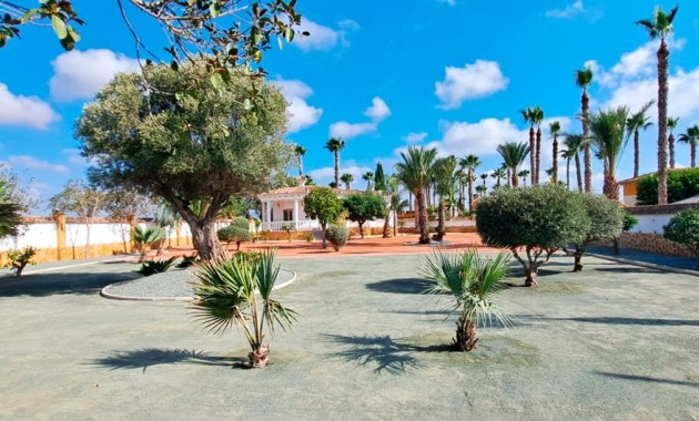 Venta - Country Property -
Catral - Catral - Country