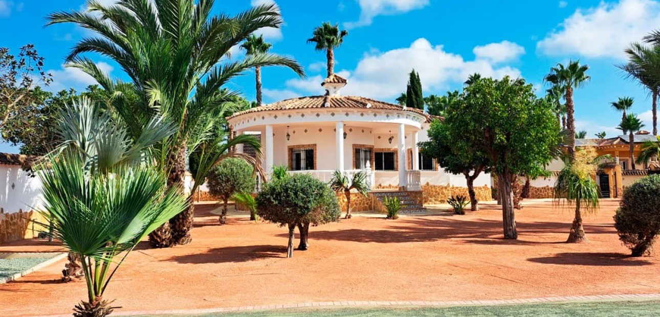 Venta - Country Property -
Catral - Catral - Country