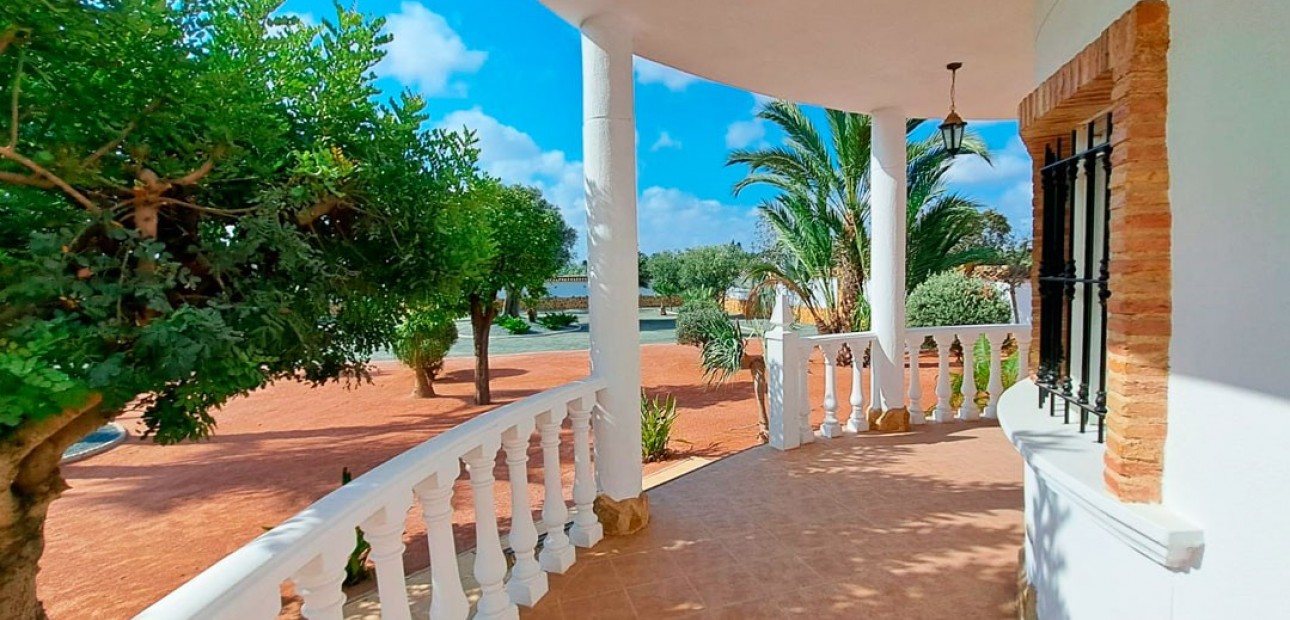 Venta - Country Property -
Catral - Catral - Country