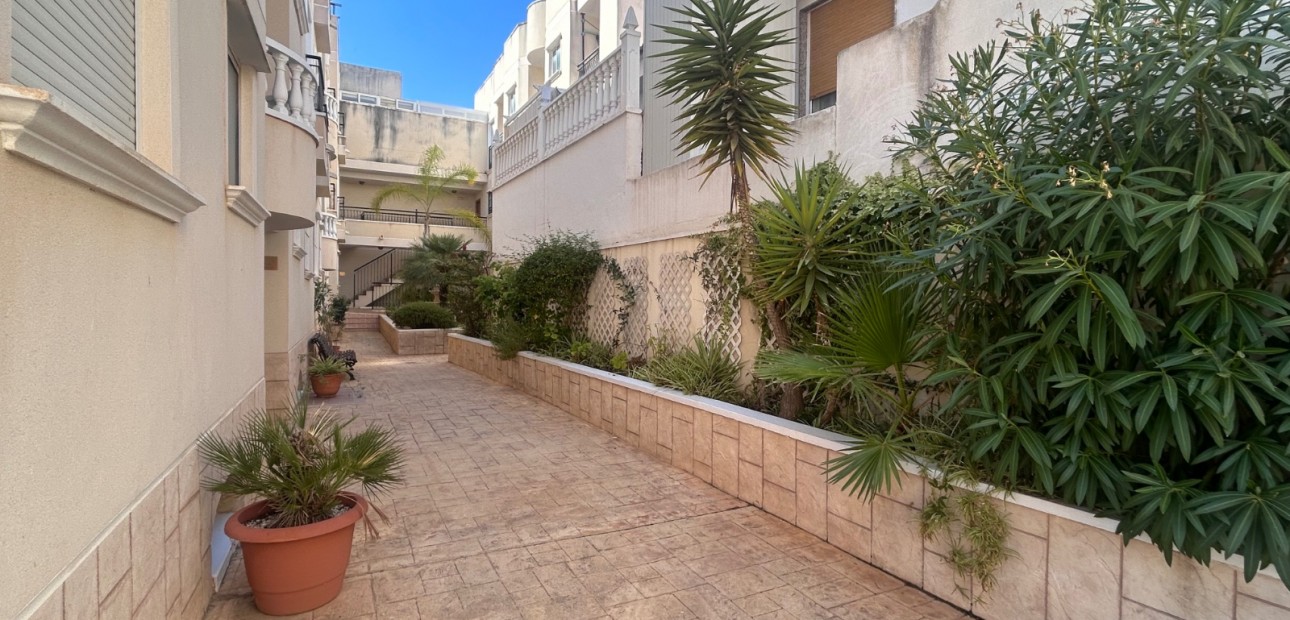 Venta - Apartamento / piso -
Jacarilla