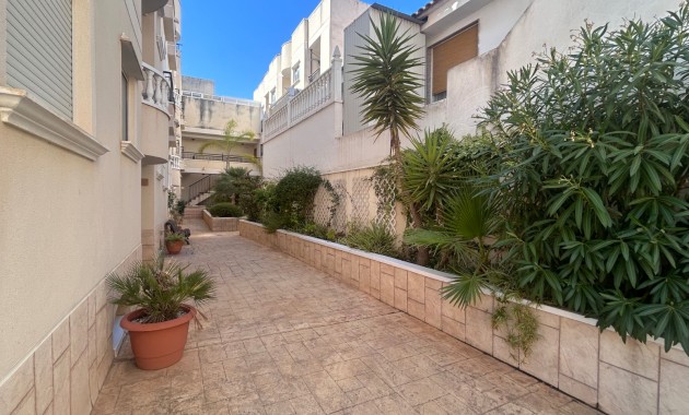 Venta - Apartamento / piso -
Jacarilla