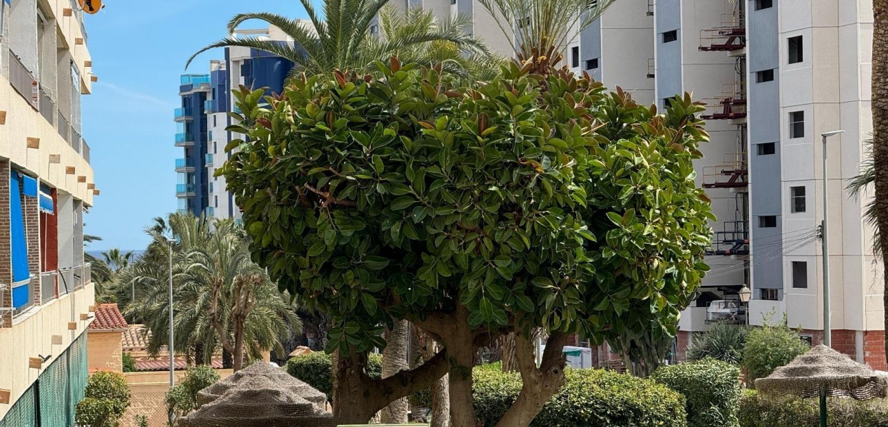Venta - Apartamento / piso -
Orihuela Costa - Rocio del Mar
