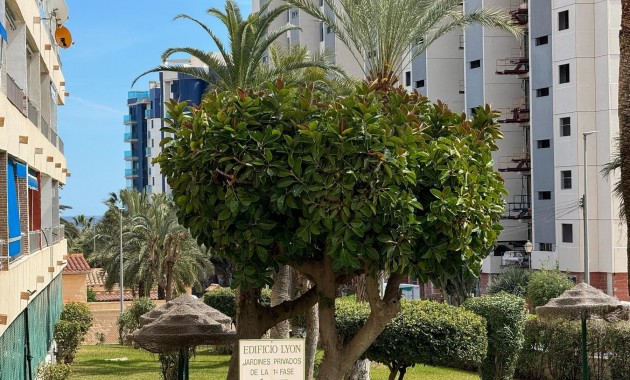 Venta - Apartamento / piso -
Orihuela Costa - Rocio del Mar