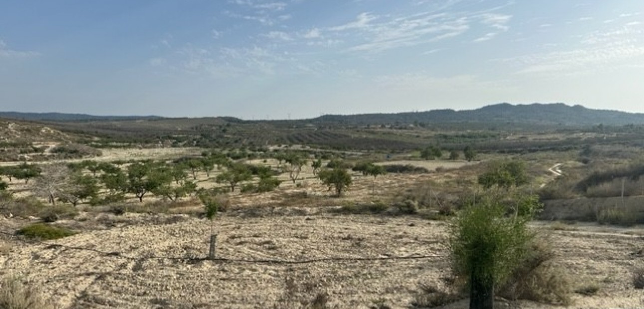 Herverkoop - Land -
Torremendo