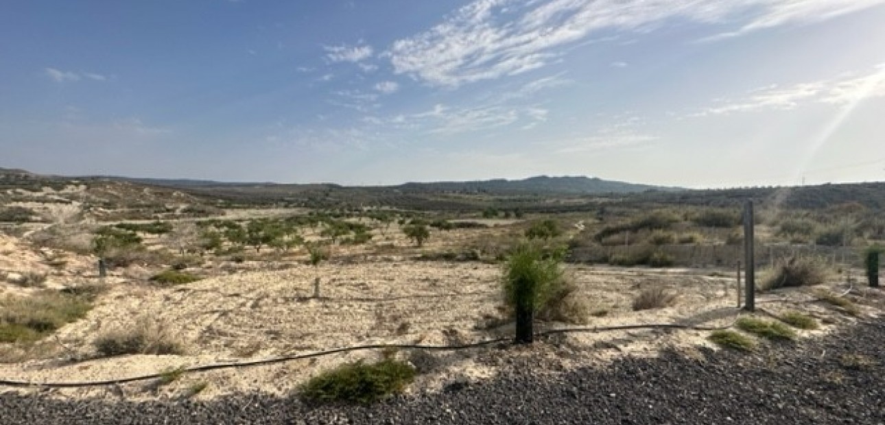 Herverkoop - Land -
Torremendo