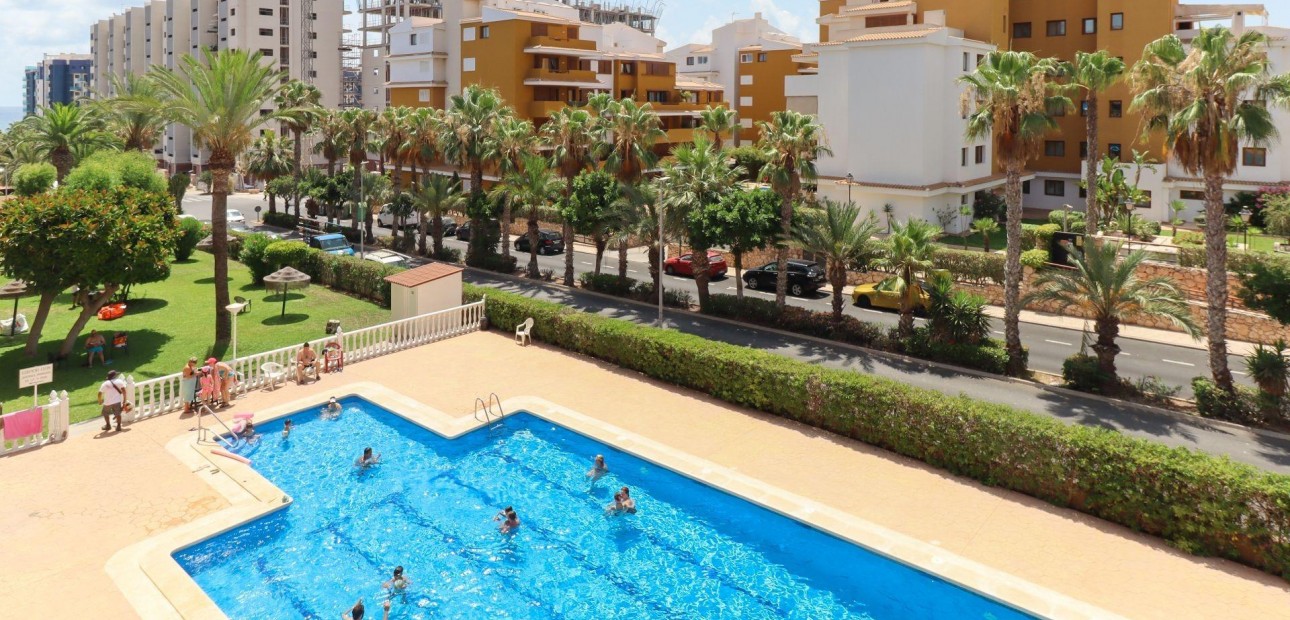 Sale - Apartment / flat -
Torrevieja - Punta prima