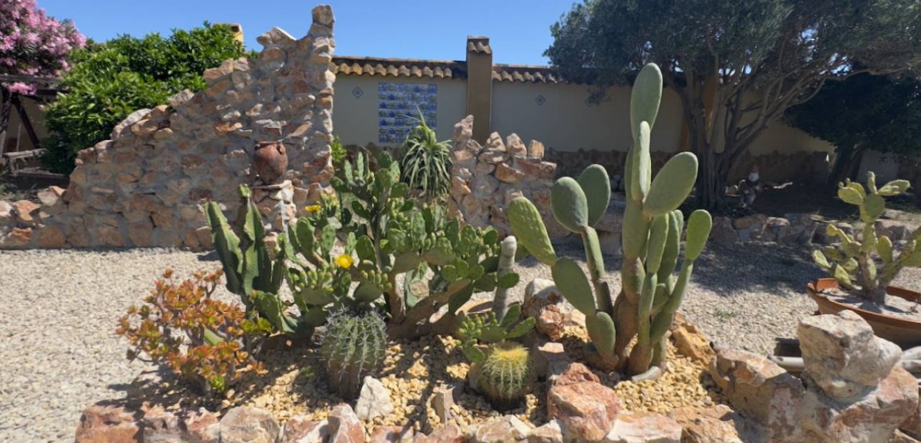 Venta - Finca / Country Property -
Catral