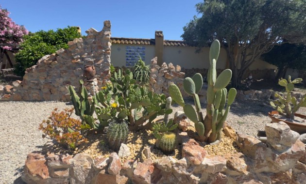 Venta - Finca / Country Property -
Catral