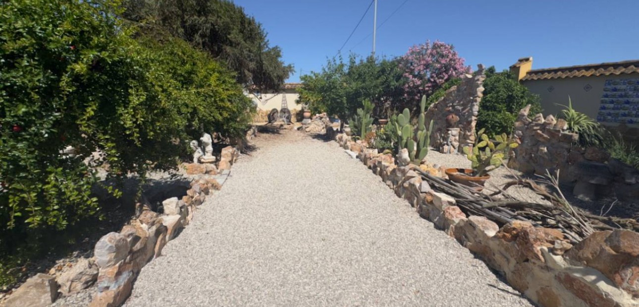 Venta - Finca / Country Property -
Catral