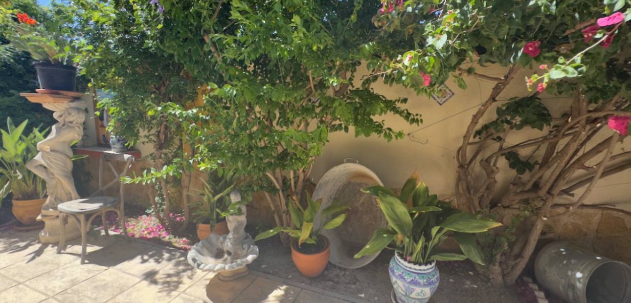 Venta - Finca / Country Property -
Catral