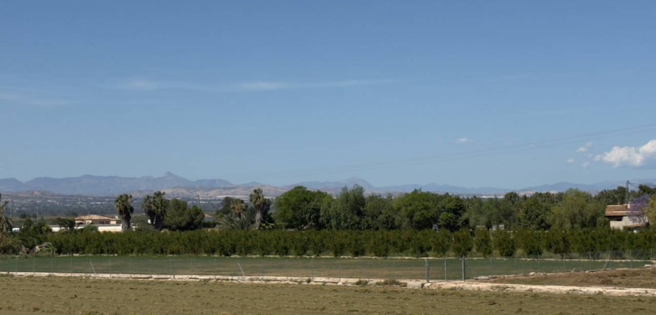 Venta - Finca / Country Property -
Catral