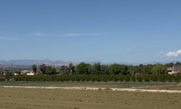 Venta - Finca / Country Property -
Catral