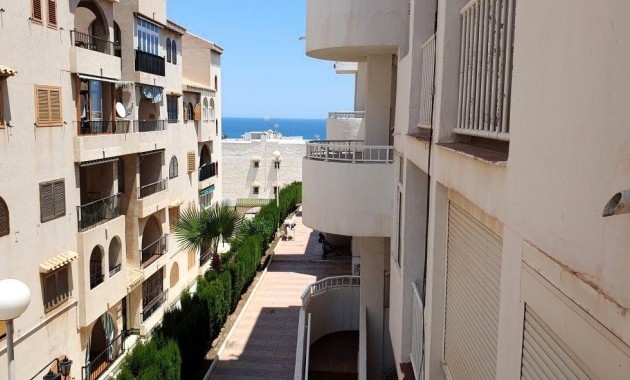 Venta - Apartamento / piso -
Torrevieja - Los Europeos