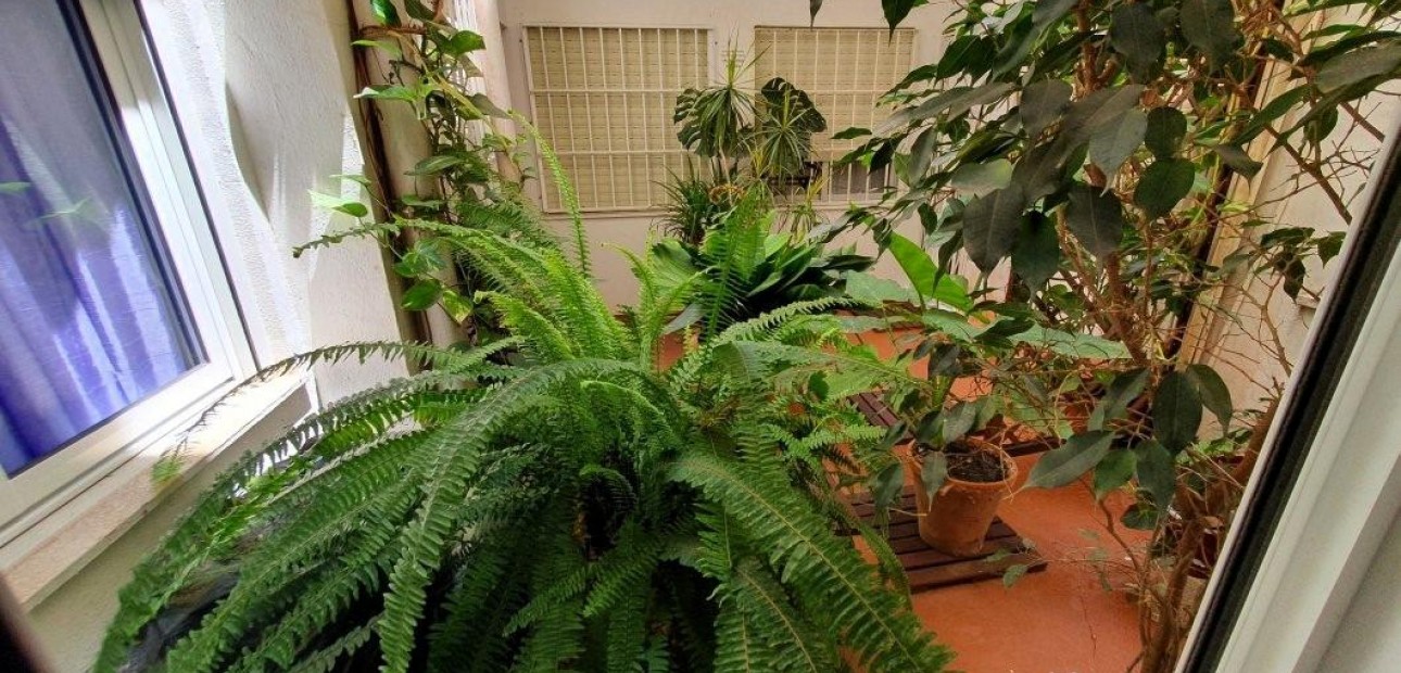 Venta - Apartamento / piso -
Torrevieja - Los Europeos