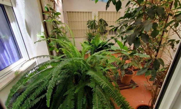 Venta - Apartamento / piso -
Torrevieja - Los Europeos