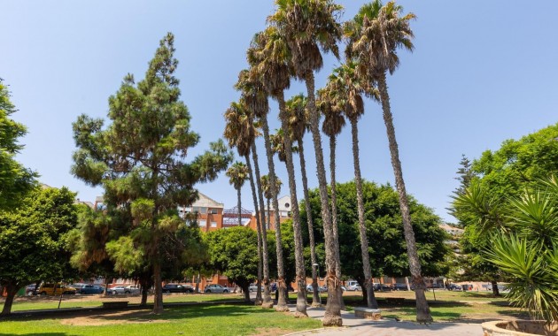Sale - Ground Floor -
Torrevieja - Estacion de autobuses